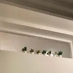 Klaeve12 Homestay szállás *